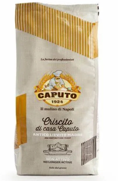 DROJDIE CAPUTO ANTICO LIEVITO MADRE - 1 kg